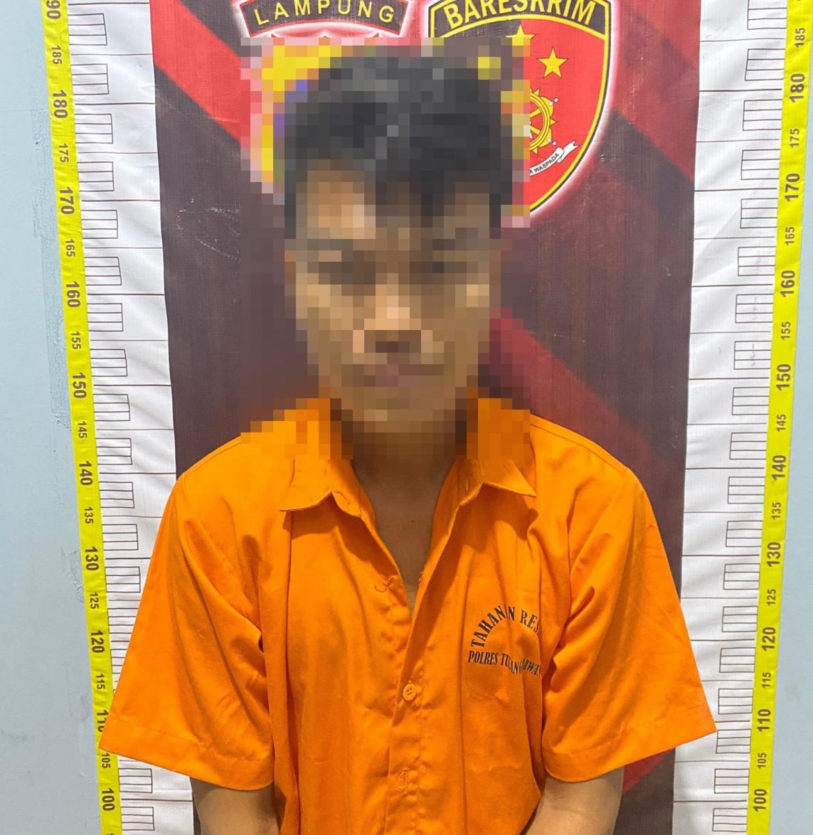Sempat Kabur dan Bersembunyi, Pelaku Curi Sapi Ditangkap Tekab 308 Presisi Polres Tulang Bawang