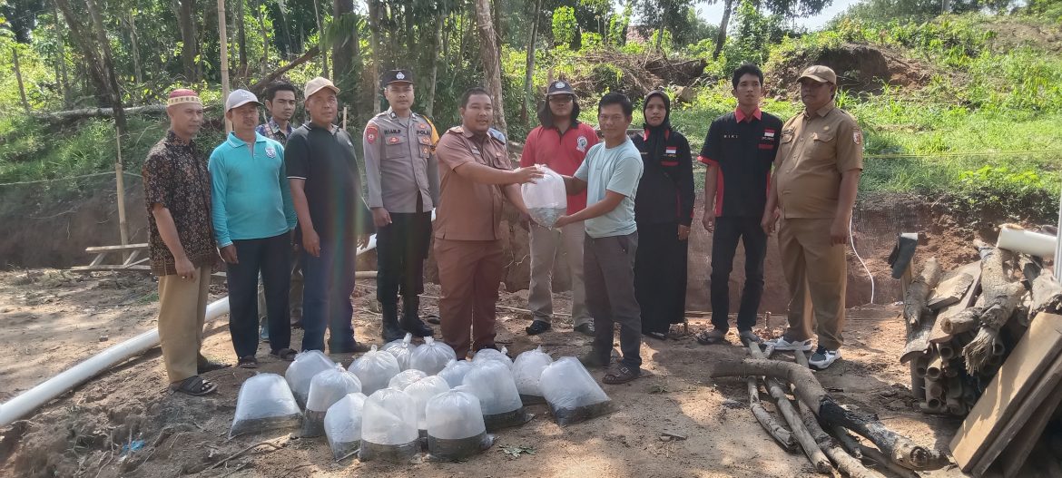 BUMDes Tunas Muda Tebar Benih Ikan Nila di Kampung Cempaka Jaya