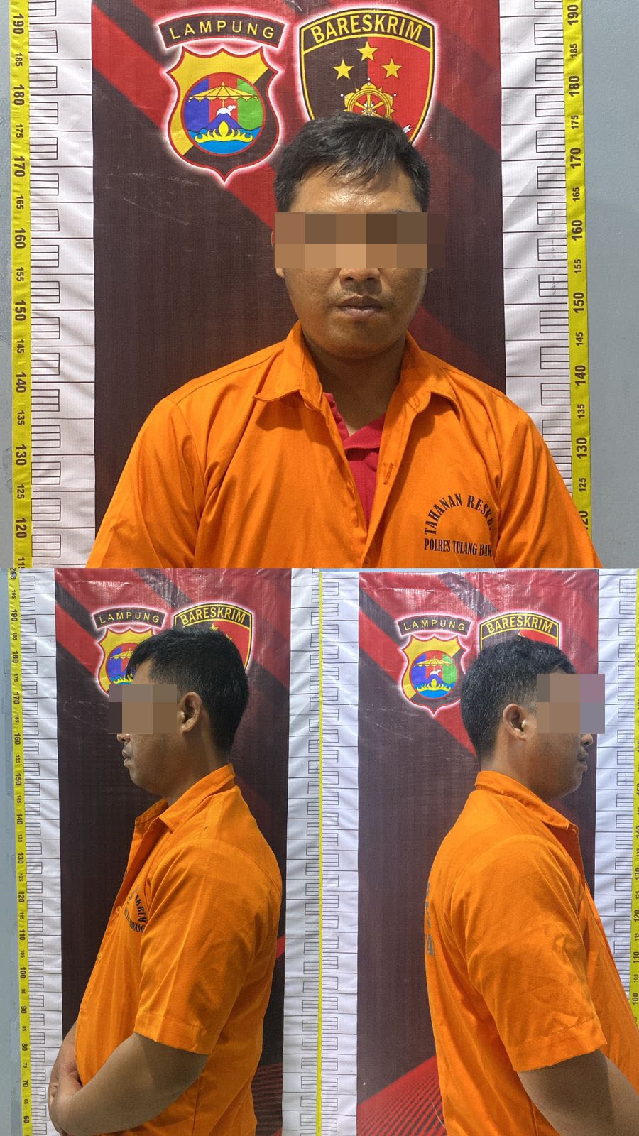 *Tekab 308 Polres Tulang Bawang Sikat Bandit Jalanan, Pelaku Curas Tak Berkutik Saat Dibekuk*