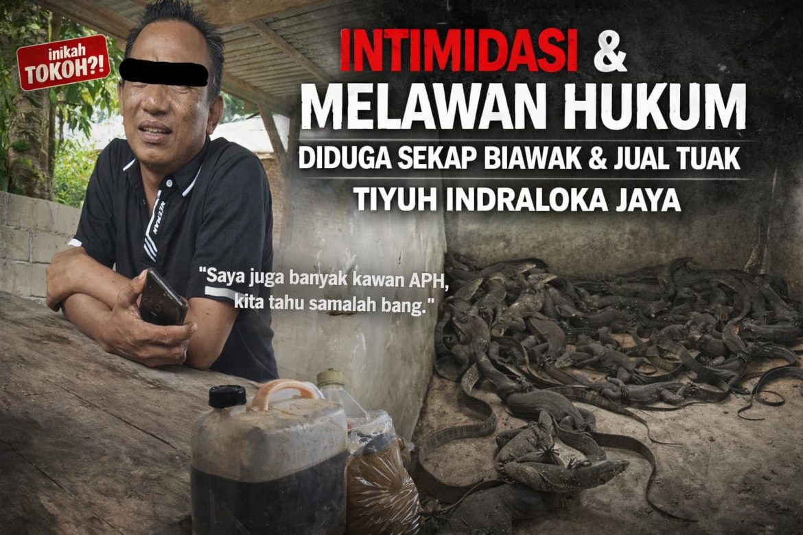 Diduga Jadi Pengepul Biawak dan Penjual Tuak, Oknum Warga Indraloka Jaya Tuai Sorotan Publik