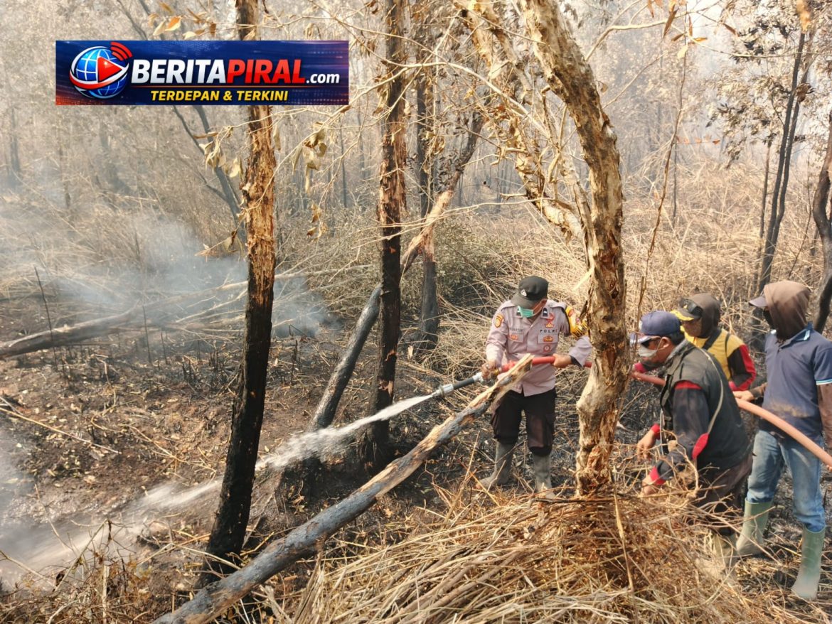 Lahan Gambut dan Semak Belukar Terbakar, Polisi Pastikan 38 Titik Api Berhasil Padam
